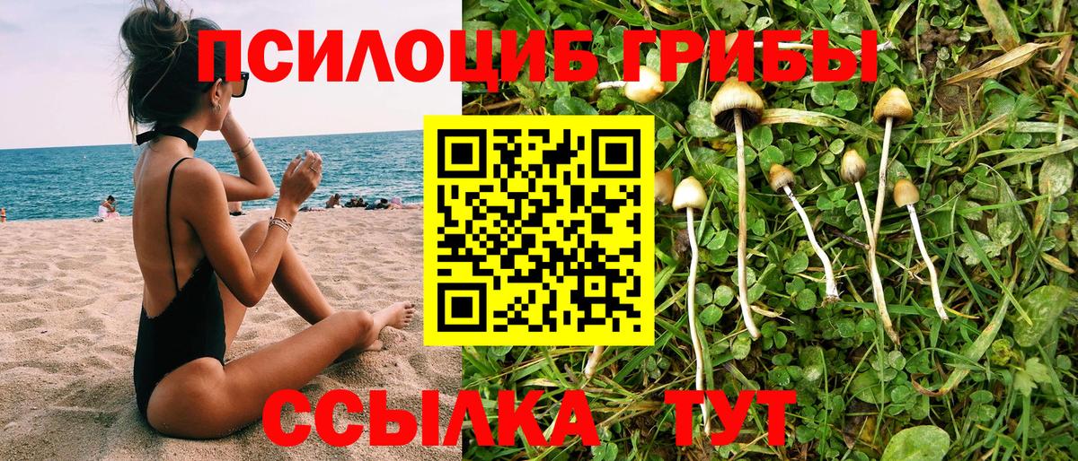 Грозный  Псилоцибиновые грибы Psilocybe  Псилоцибиновые грибы Cubensis  Вход с VPN 